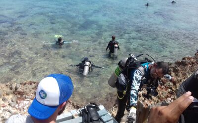 Punto Azul abre convocatoria para gestor de residuos peligrosos en San Andrés