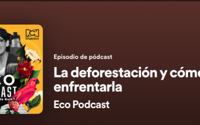 La deforestación y cómo evitarla