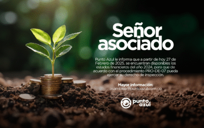 Solicitud estados financieros 2024