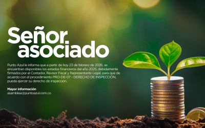 Estados Financieros 2025